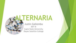 ALTERNARIA
Justin Gallemba
BSF III
Capiz State University
Dayao Satellite College
 