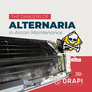 in Aircon Maintenance
THE DANGERS OF
ALTERNARIA
Mould
 