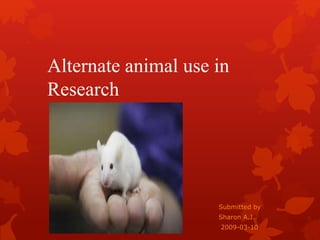 Alternate animal use in
Research
Submitted by
Sharon A.J.
2009-03-10
 