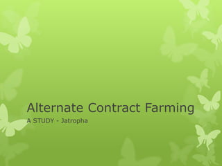 Alternate Contract Farming
A STUDY - Jatropha
 
