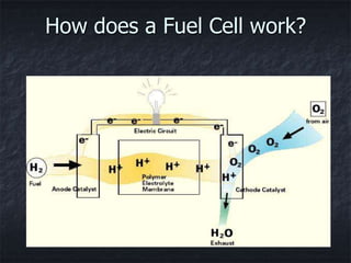 How does a Fuel Cell work?
 