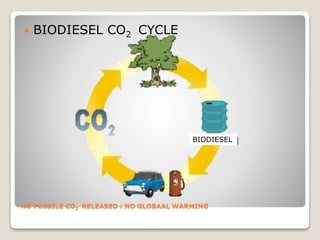 NO FOSSILE CO2 RELEASED : NO GLOBAAL WARMING
 BIODIESEL CO2 CYCLE
BIODIESEL
 