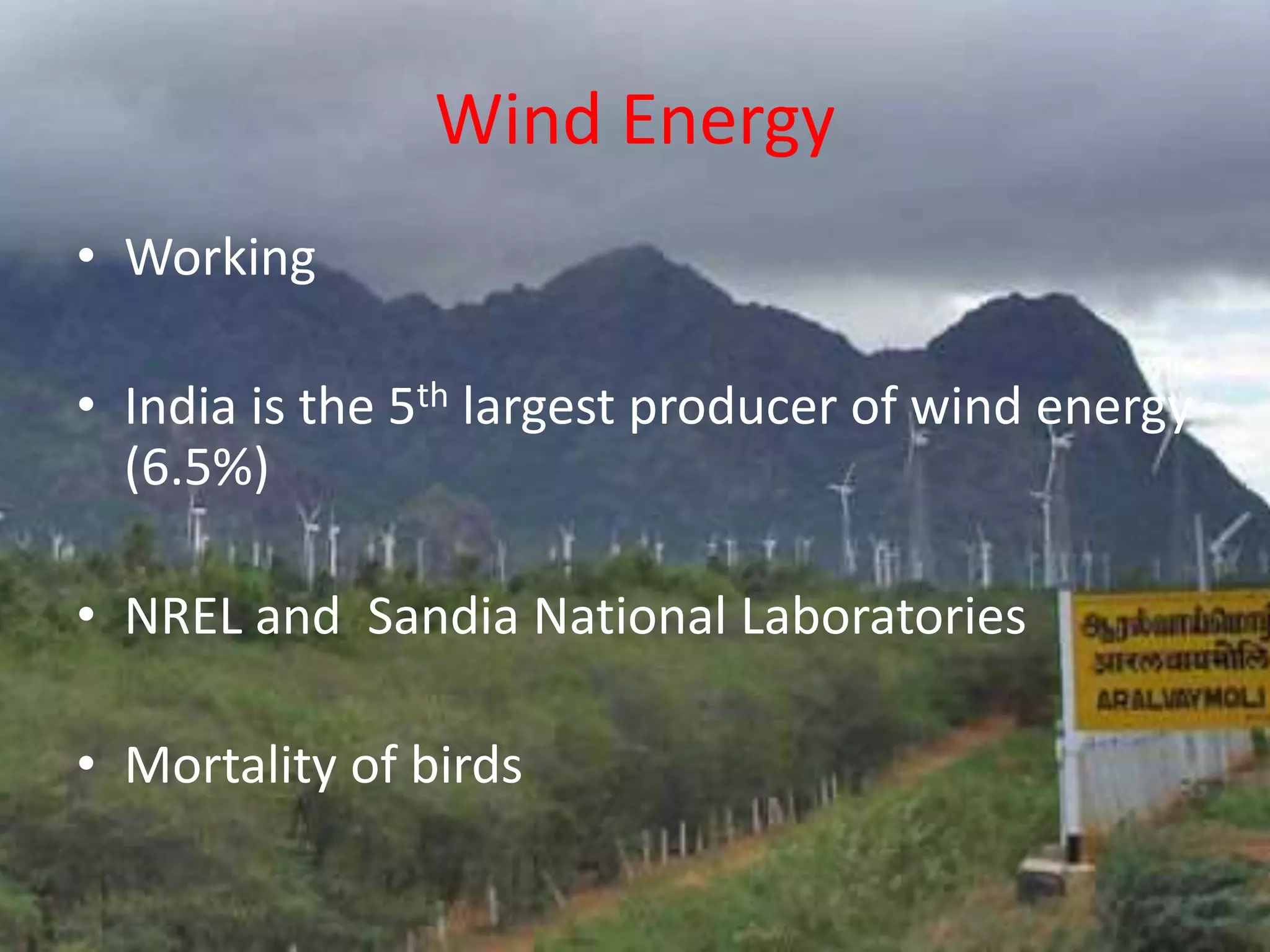 Wind Energy
• Working
• India is the 5th largest producer of wind energy
(6.5%)
• NREL and Sandia National Laboratories
• Mortality of birds