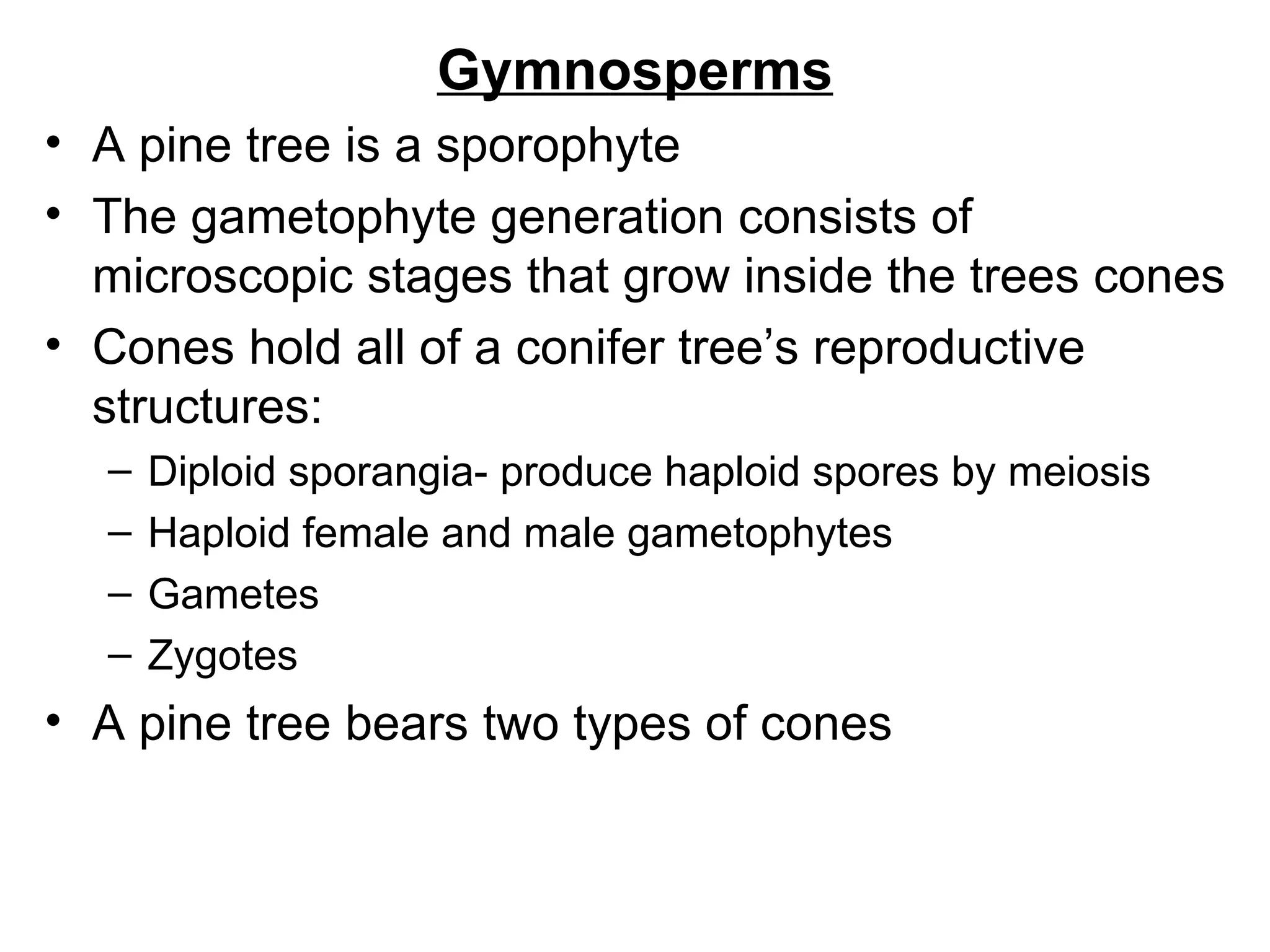 Gymnosperms
• A pine tree is a sporophyte
• The gametophyte generation consists of
  microscopic stages that grow inside the trees cones
• Cones hold all of a conifer tree’s reproductive
  structures:
  –   Diploid sporangia- produce haploid spores by meiosis
  –   Haploid female and male gametophytes
  –   Gametes
  –   Zygotes
• A pine tree bears two types of cones
 
