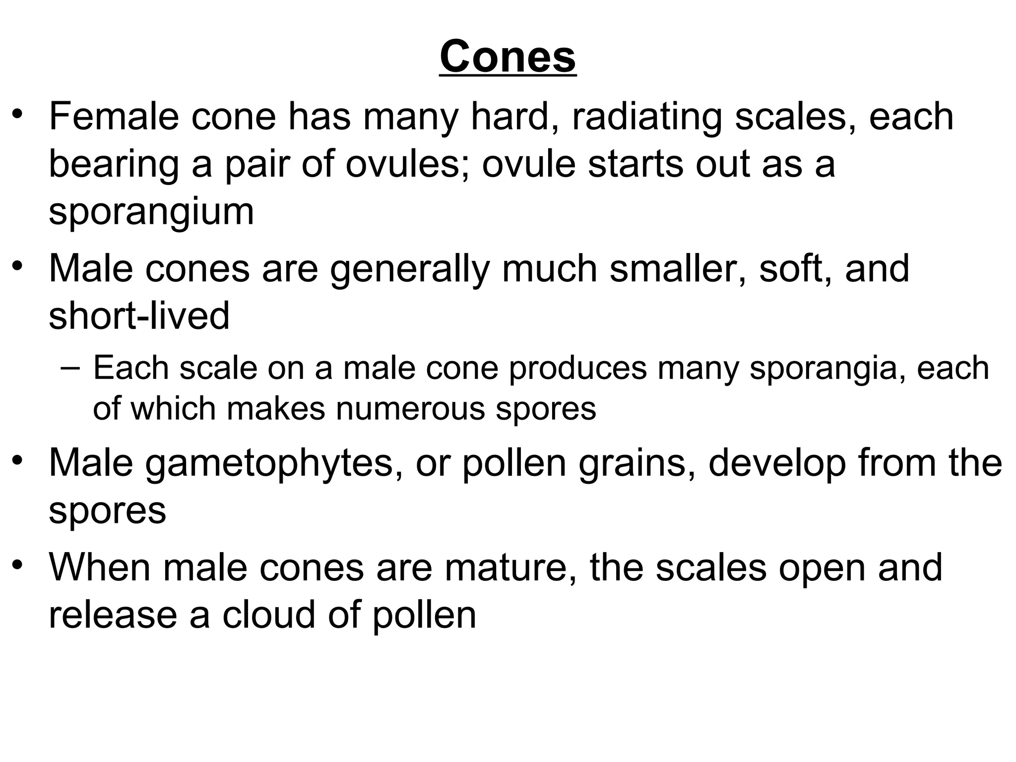 Cones
• Female cone has many hard, radiating scales, each
  bearing a pair of ovules; ovule starts out as a
  sporangium
• Male cones are generally much smaller, soft, and
  short-lived
  – Each scale on a male cone produces many sporangia, each
    of which makes numerous spores
• Male gametophytes, or pollen grains, develop from the
  spores
• When male cones are mature, the scales open and
  release a cloud of pollen
 
