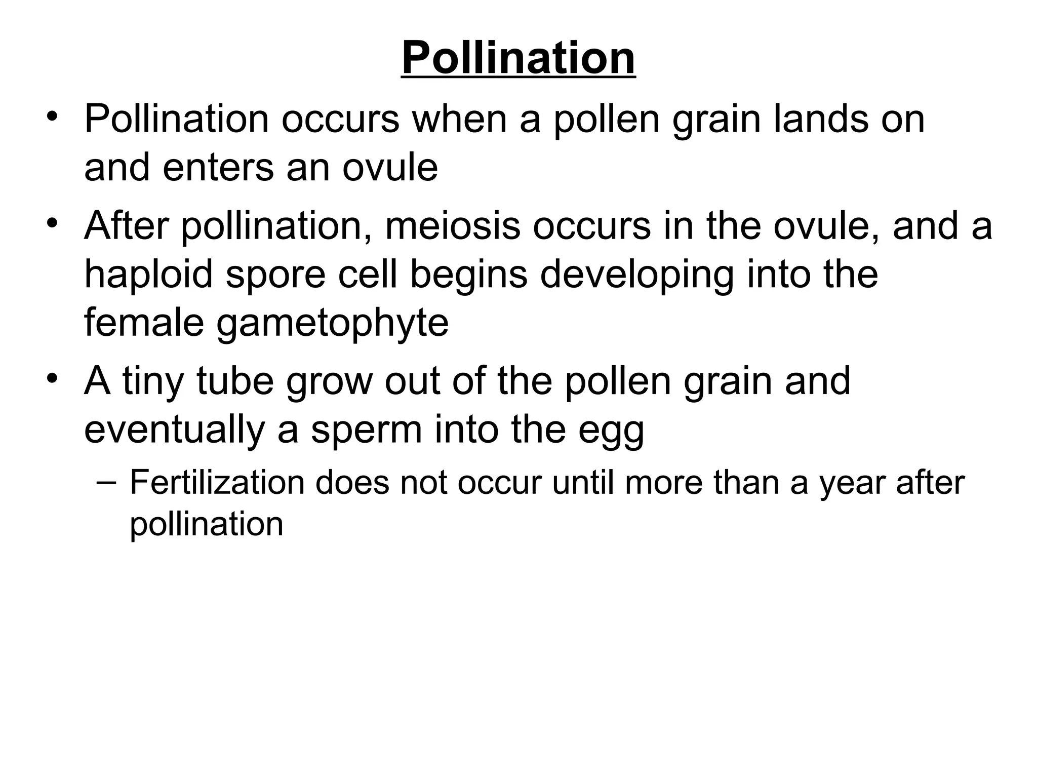 Pollination
• Pollination occurs when a pollen grain lands on
  and enters an ovule
• After pollination, meiosis occurs in the ovule, and a
  haploid spore cell begins developing into the
  female gametophyte
• A tiny tube grow out of the pollen grain and
  eventually a sperm into the egg
   – Fertilization does not occur until more than a year after
     pollination
 