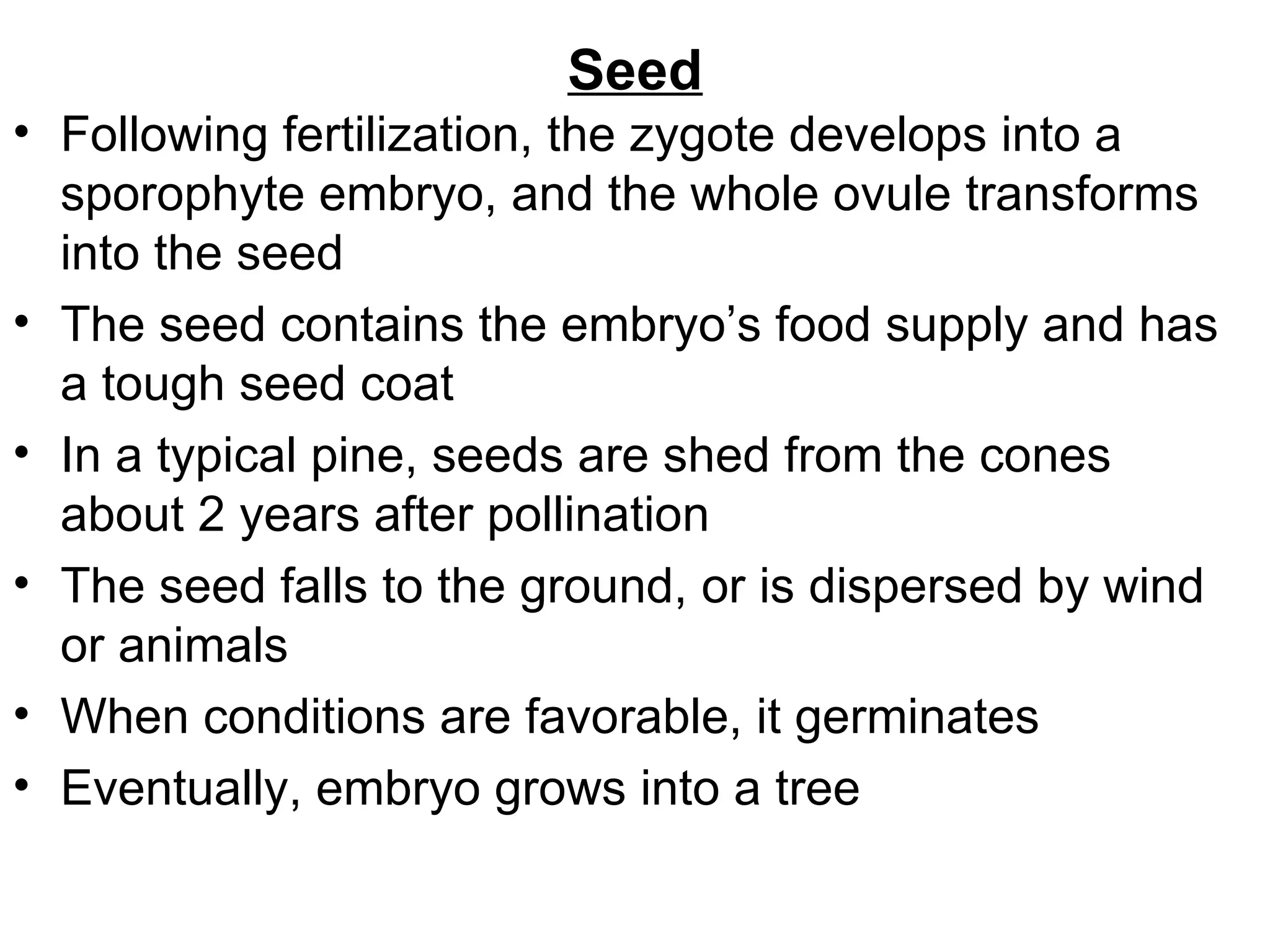 Seed
• Following fertilization, the zygote develops into a
  sporophyte embryo, and the whole ovule transforms
  into the seed
• The seed contains the embryo’s food supply and has
  a tough seed coat
• In a typical pine, seeds are shed from the cones
  about 2 years after pollination
• The seed falls to the ground, or is dispersed by wind
  or animals
• When conditions are favorable, it germinates
• Eventually, embryo grows into a tree
 