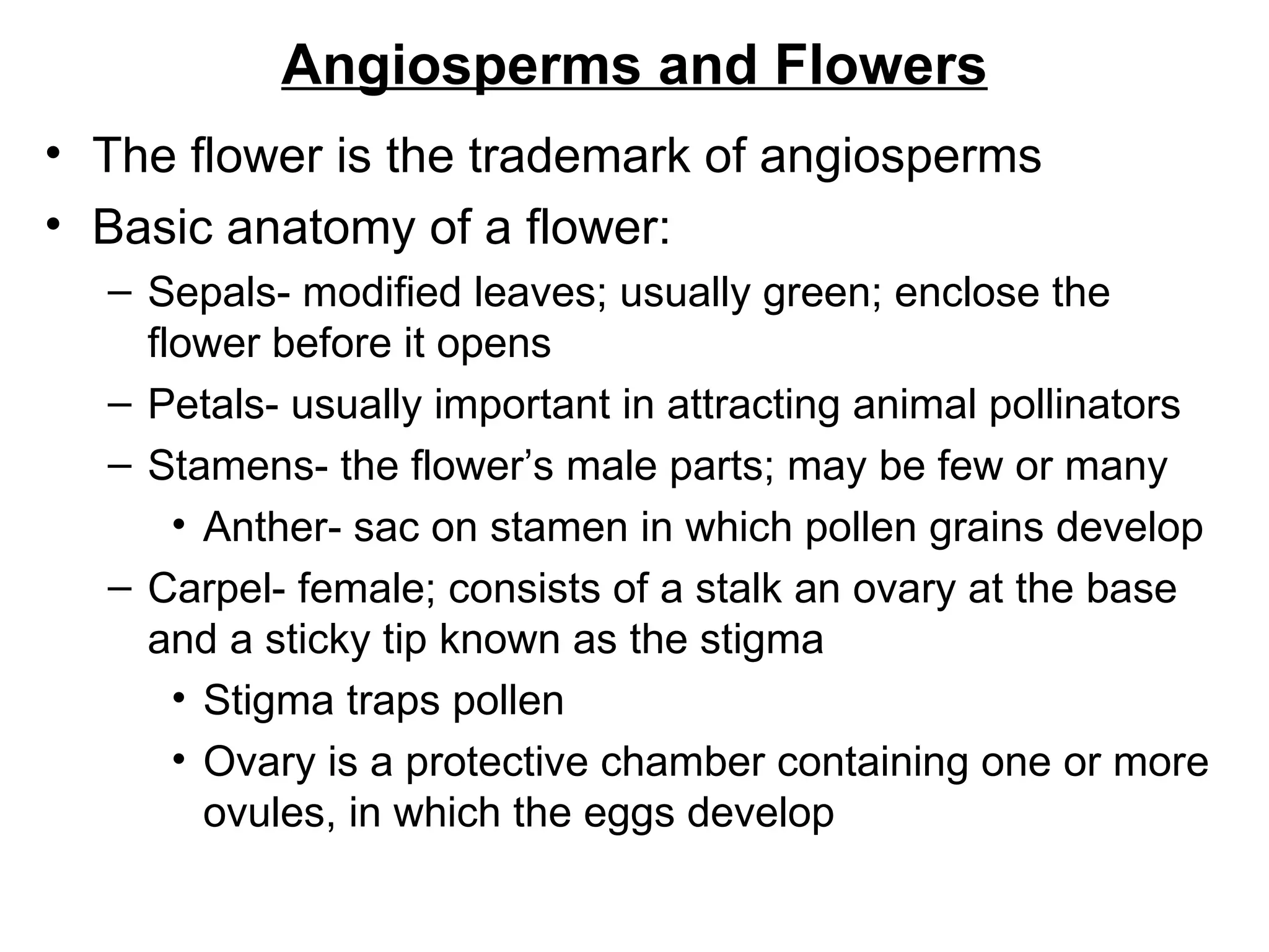Angiosperms and Flowers
• The flower is the trademark of angiosperms
• Basic anatomy of a flower:
  – Sepals- modified leaves; usually green; enclose the
    flower before it opens
  – Petals- usually important in attracting animal pollinators
  – Stamens- the flower’s male parts; may be few or many
      • Anther- sac on stamen in which pollen grains develop
  – Carpel- female; consists of a stalk an ovary at the base
    and a sticky tip known as the stigma
      • Stigma traps pollen
      • Ovary is a protective chamber containing one or more
        ovules, in which the eggs develop
 