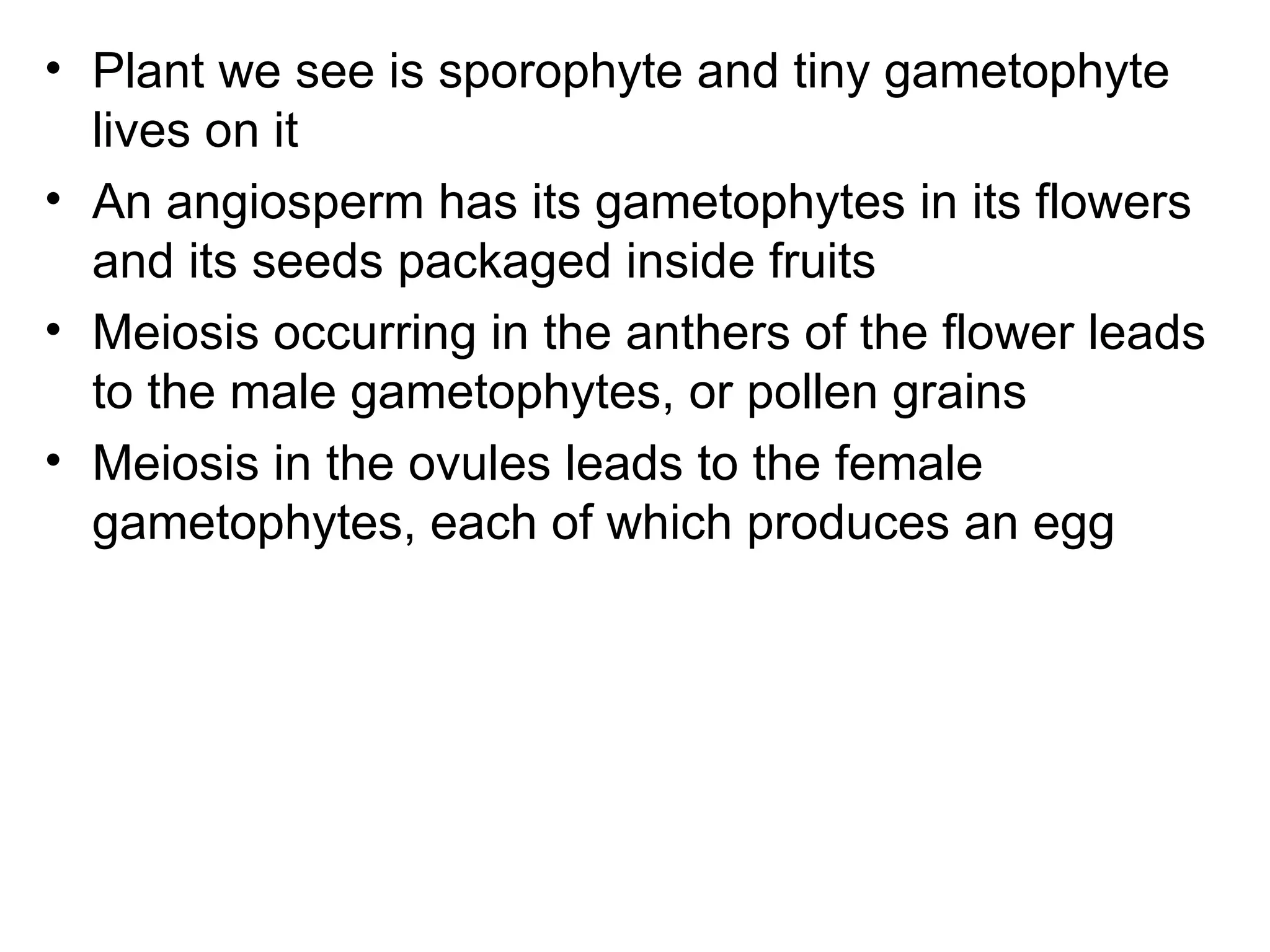 • Plant we see is sporophyte and tiny gametophyte
  lives on it
• An angiosperm has its gametophytes in its flowers
  and its seeds packaged inside fruits
• Meiosis occurring in the anthers of the flower leads
  to the male gametophytes, or pollen grains
• Meiosis in the ovules leads to the female
  gametophytes, each of which produces an egg
 