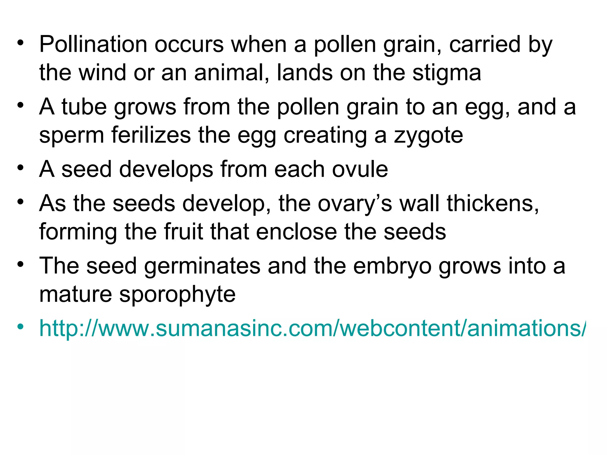 • Pollination occurs when a pollen grain, carried by
  the wind or an animal, lands on the stigma
• A tube grows from the pollen grain to an egg, and a
  sperm ferilizes the egg creating a zygote
• A seed develops from each ovule
• As the seeds develop, the ovary’s wall thickens,
  forming the fruit that enclose the seeds
• The seed germinates and the embryo grows into a
  mature sporophyte
• http://www.sumanasinc.com/webcontent/animations/co
 