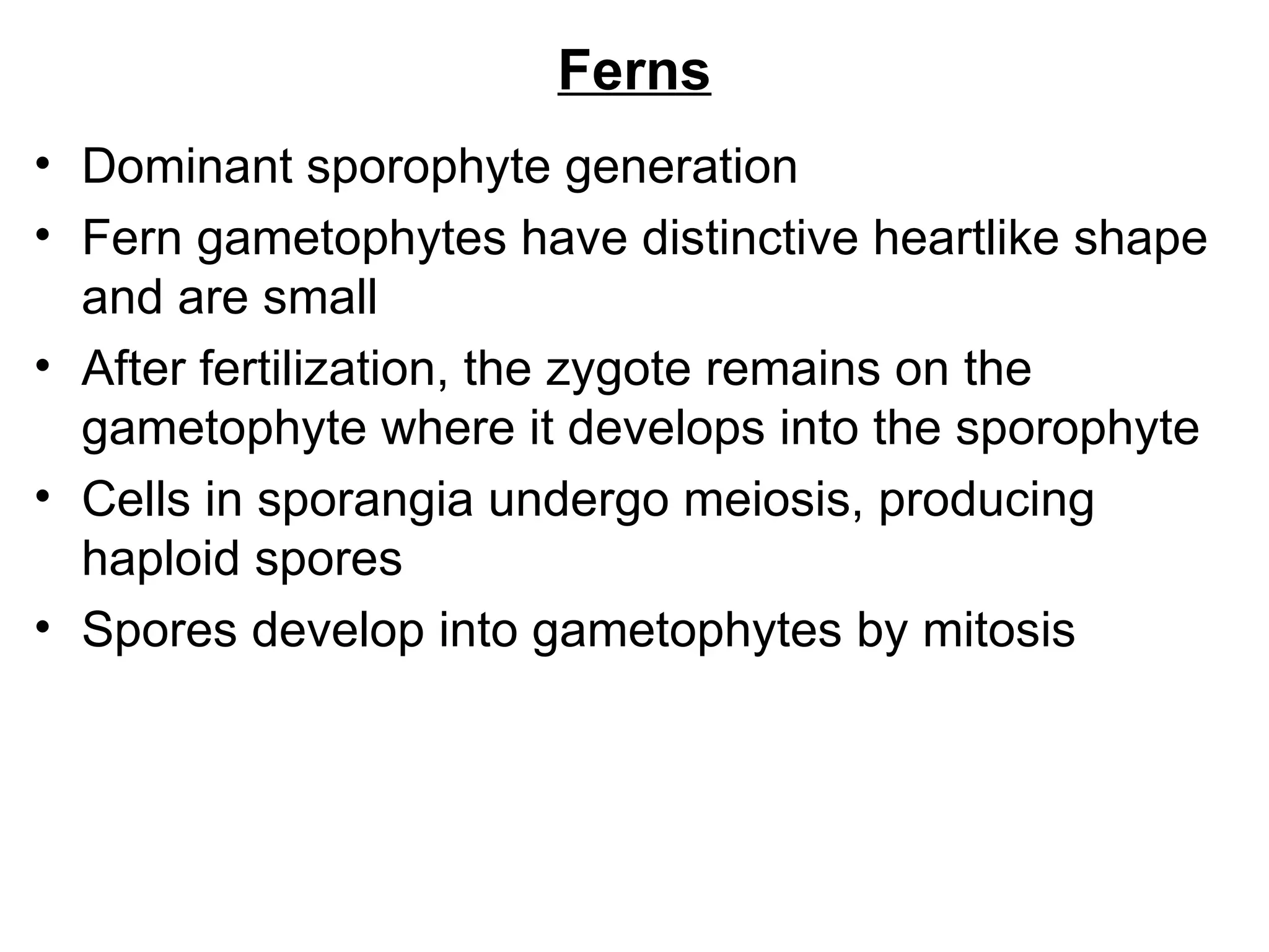 Ferns
• Dominant sporophyte generation
• Fern gametophytes have distinctive heartlike shape
  and are small
• After fertilization, the zygote remains on the
  gametophyte where it develops into the sporophyte
• Cells in sporangia undergo meiosis, producing
  haploid spores
• Spores develop into gametophytes by mitosis
 