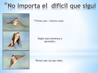 * Primer pas : intenta volar. 
* 
 