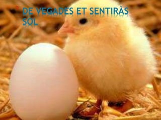 * DE VEGADES ET SENTIRÀS 
SOL 
 