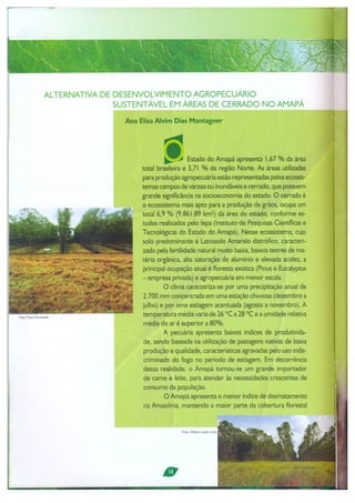 Alternativa de desenvolvimento agropecuário sustentável em áres de cerrado no amapá