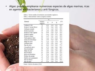• Algas: pueden emplearse numerosas especies de algas marinas, ricas
en agentes antibacterianos y anti fúngicos.
 