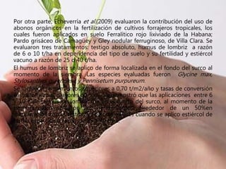 Por otra parte, Echeverría et al.(2009) evaluaron la contribución del uso de
abonos orgánicos en la fertilización de cultivos forrajeros tropicales, los
cuales fueron aplicados en suelo Ferralítico rojo lixiviado de la Habana;
Pardo grisáceo de Camagüey y Gley nodular ferruginoso, de Villa Clara. Se
evaluaron tres tratamientos: testigo absoluto, humus de lombriz a razón
de 6 o 10 t/ha en dependencia del tipo de suelo y su fertilidad y estiércol
vacuno a razón de 25 o 40 t/ha.
El humus de lombriz se aplico de forma localizada en el fondo del surco al
momento de la siembra. Las especies evaluadas fueron Glycine max,
Stylosanthes guianensis y Pennisetum purpureum.
Se lograron rendimientos superiores a 0,70 t/m2/año y tasas de conversión
sustrato/humus mayores de 55%. Se demostró que las aplicaciones entre 6
y 10 t de humus de lombriz/ha en el fondo del surco, al momento de la
siembra, incrementaron los rendimientos alrededor de un 50%en
comparación con el testigo y fueron similares cuando se aplico estiércol de
forma esparcida a razón de 25 a 40 t/ha.
 