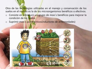 Otra de las tecnologías utilizadas en el manejo y conservación de los
suelos en el mundo es la de los microorganismos benéficos o efectivos.
o Consiste en introducir un grupo de moo´s benéficos para mejorar la
condición de los suelos
o Suprimir moo´s putrefactivos(inductores de enfermedades)
 