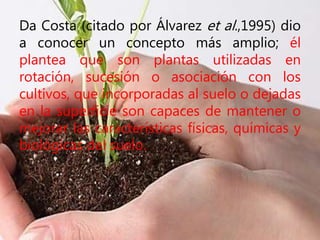 Da Costa (citado por Álvarez et al.,1995) dio
a conocer un concepto más amplio; él
plantea que son plantas utilizadas en
rotación, sucesión o asociación con los
cultivos, que incorporadas al suelo o dejadas
en la superficie son capaces de mantener o
mejorar las características físicas, químicas y
biológicas del suelo.
 