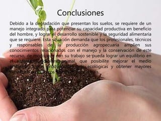 Conclusiones
Debido a la degradación que presentan los suelos, se requiere de un
manejo integrado para potenciar su capacidad productiva en beneficio
del hombre, y lograr el desarrollo sostenible y la seguridad alimentaria
que se requiere. Esta situación demanda que los profesionales, técnicos
y responsables de la producción agropecuaria amplíen sus
conocimientos relacionados con el manejo y la conservación de este
recurso, de modo que con su trabajo se pueda lograr un equilibrio en
el sistema suelo-planta-animal, que posibilite mejorar el medio
ambiente, lograr producciones más ecológicas y obtener mayores
beneficios económicos y sociales para el país.
 