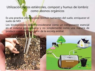 Utilización de los estiércoles, compost y humus de lombriz
como abonos orgánicos
Es una practica utilizada para restituir nutrientes del suelo, enriquecer el
suelo de MO.
Los biodigestores deben considerarse como un componente esencial
en el sistema agropecuario y no simplemente como una manera de
producir combustible a partir de la excreta animal.
 