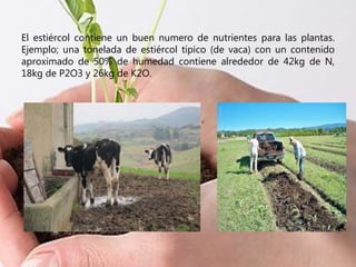 El estiércol contiene un buen numero de nutrientes para las plantas.
Ejemplo; una tonelada de estiércol típico (de vaca) con un contenido
aproximado de 50% de humedad contiene alrededor de 42kg de N,
18kg de P2O3 y 26kg de K2O.
 