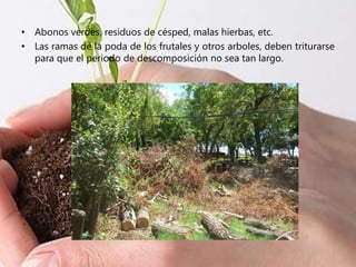 • Abonos verdes, residuos de césped, malas hierbas, etc.
• Las ramas de la poda de los frutales y otros arboles, deben triturarse
para que el periodo de descomposición no sea tan largo.
 