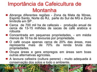 Procafé: Condições diferenciadas na recepa de cafeeiros conillon - Notícias  Agrícolas