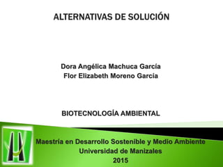 Dora Angélica Machuca García
Flor Elizabeth Moreno García
BIOTECNOLOGÍA AMBIENTAL
Maestría en Desarrollo Sostenible y Medio Ambiente
Universidad de Manizales
2015
 
