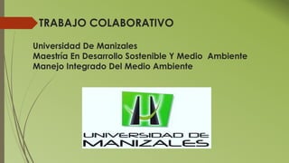 TRABAJO COLABORATIVO
Universidad De Manizales
Maestría En Desarrollo Sostenible Y Medio Ambiente
Manejo Integrado Del Medio Ambiente
 