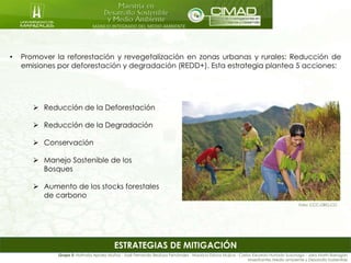 MANEJO INTEGRADO DEL MEDIO AMBIENTE
• Promover la reforestación y revegetalización en zonas urbanas y rurales: Reducción de
emisiones por deforestación y degradación (REDD+). Esta estrategia plantea 5 acciones:
Foto: CCC.ORG.CO
Grupo 5: Nathalia Apraez Muñoz - José Fernando Bedoya Fernández - Mauricio Eslava Mujica - Carlos Eduardo Hurtado Suzunaga - Jairo Marín Barragán
Maestrantes Medio ambiente y Desarrollo Sostenible
 Reducción de la Deforestación
 Reducción de la Degradación
 Conservación
 Manejo Sostenible de los
Bosques
 Aumento de los stocks forestales
de carbono
ESTRATEGIAS DE MITIGACIÓN
 