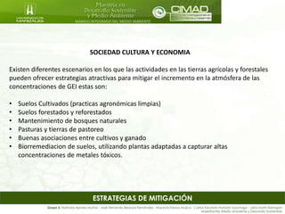 MANEJO INTEGRADO DEL MEDIO AMBIENTE
Grupo 5: Nathalia Apraez Muñoz - José Fernando Bedoya Fernández - Mauricio Eslava Mujica - Carlos Eduardo Hurtado Suzunaga - Jairo Marín Barragán
Maestrantes Medio ambiente y Desarrollo Sostenible
SOCIEDAD CULTURA Y ECONOMIA
Existen diferentes escenarios en los que las actividades en las tierras agrícolas y forestales
pueden ofrecer estrategias atractivas para mitigar el incremento en la atmósfera de las
concentraciones de GEI estas son:
• Suelos Cultivados (practicas agronómicas limpias)
• Suelos forestados y reforestados
• Mantenimiento de bosques naturales
• Pasturas y tierras de pastoreo
• Buenas asociaciones entre cultivos y ganado
• Biorremediacion de suelos, utilizando plantas adaptadas a capturar altas
concentraciones de metales tóxicos.
ESTRATEGIAS DE MITIGACIÓN
 