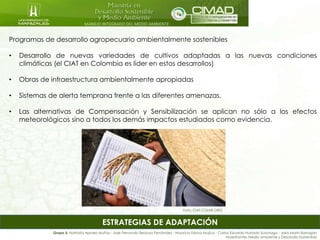MANEJO INTEGRADO DEL MEDIO AMBIENTE
ESTRATEGIAS DE ADAPTACIÓN
Programas de desarrollo agropecuario ambientalmente sostenibles
• Desarrollo de nuevas variedades de cultivos adaptadas a las nuevas condiciones
climáticas (el CIAT en Colombia es líder en estos desarrollos)
• Obras de infraestructura ambientalmente apropiadas
• Sistemas de alerta temprana frente a las diferentes amenazas.
• Las alternativas de Compensación y Sensibilización se aplican no sólo a los efectos
meteorológicos sino a todos los demás impactos estudiados como evidencia.
Foto: CIAT.CGIAR.ORG
Grupo 5: Nathalia Apraez Muñoz - José Fernando Bedoya Fernández - Mauricio Eslava Mujica - Carlos Eduardo Hurtado Suzunaga - Jairo Marín Barragán
Maestrantes Medio ambiente y Desarrollo Sostenible
 