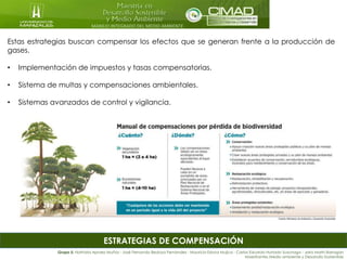 MANEJO INTEGRADO DEL MEDIO AMBIENTE
ESTRATEGIAS DE COMPENSACIÓN
Estas estrategias buscan compensar los efectos que se generan frente a la producción de
gases.
• Implementación de impuestos y tasas compensatorias.
• Sistema de multas y compensaciones ambientales.
• Sistemas avanzados de control y vigilancia.
Grupo 5: Nathalia Apraez Muñoz - José Fernando Bedoya Fernández - Mauricio Eslava Mujica - Carlos Eduardo Hurtado Suzunaga - Jairo Marín Barragán
Maestrantes Medio ambiente y Desarrollo Sostenible
 