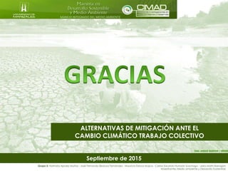Septiembre de 2015
MANEJO INTEGRADO DEL MEDIO AMBIENTE
ALTERNATIVAS DE MITIGACIÓN ANTE EL
CAMBIO CLIMÁTICO TRABAJO COLECTIVO
Grupo 5: Nathalia Apraez Muñoz - José Fernando Bedoya Fernández - Mauricio Eslava Mujica - Carlos Eduardo Hurtado Suzunaga - Jairo Marín Barragán
Maestrantes Medio ambiente y Desarrollo Sostenible
 