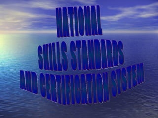 NATIONAL  SKILLS STANDARDS  AND CERTIFICATION SYSTEM 