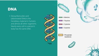 DNA
• Deoxyribonucleic acid
(abbreviated DNA) is the
hereditary material in humans
and almost all other organisms.
Nearly every cell in a person’s
body has the same DNA.
 