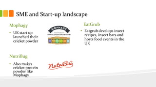 SME and Start-up landscape
Mophagy
• UK start up
launched their
cricket powder
EatGrub
• Eatgrub develops insect
recipes, insect bars and
hosts food events in the
UK
NutriBug
• Also makes
cricket protein
powder like
Mophagy
 