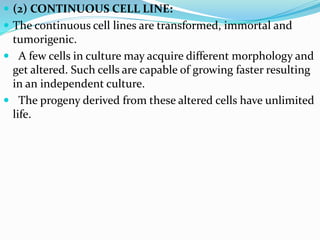  (2) CONTINUOUS CELL LINE:
 The continuous cell lines are transformed, immortal and
tumorigenic.
 A few cells in culture may acquire different morphology and
get altered. Such cells are capable of growing faster resulting
in an independent culture.
 The progeny derived from these altered cells have unlimited
life.
 