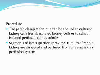 Procedure
 The patch clamp technique can be applied to cultured
kidney cells freshly isolated kidney cells or to cells of
isolated perfused kidney tubules
 Segments of late superficial proximal tubules of rabbit
kidney are dissected and perfused from one end with a
perfusion system
 