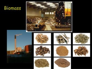 Biomass 