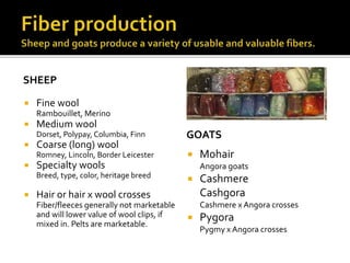 SHEEP
 Fine wool
Rambouillet, Merino
 Medium wool
Dorset, Polypay, Columbia, Finn
 Coarse (long) wool
Romney, Lincoln, Border Leicester
 Specialty wools
Breed, type, color, heritage breed
 Hair or hair x wool crosses
Fiber/fleeces generally not marketable
and will lower value of wool clips, if
mixed in. Pelts are marketable.
GOATS
 Mohair
Angora goats
 Cashmere
Cashgora
Cashmere x Angora crosses
 Pygora
Pygmy x Angora crosses
 