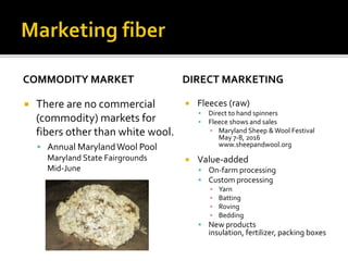 COMMODITY MARKET
 There are no commercial
(commodity) markets for
fibers other than white wool.
 Annual MarylandWool Pool
Maryland State Fairgrounds
Mid-June
DIRECT MARKETING
 Fleeces (raw)
 Direct to hand spinners
 Fleece shows and sales
▪ Maryland Sheep &Wool Festival
May 7-8, 2016
www.sheepandwool.org
 Value-added
 On-farm processing
 Custom processing
▪ Yarn
▪ Batting
▪ Roving
▪ Bedding
 New products
insulation, fertilizer, packing boxes
 