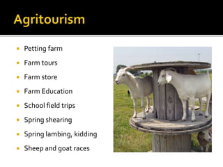  Petting farm
 Farm tours
 Farm store
 Farm Education
 School field trips
 Spring shearing
 Spring lambing, kidding
 Sheep and goat races
 