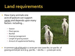  How many animals one
acre of pasture can support
varies and depends upon many
factors including…
▪ Season
▪ Plant species
▪ Rainfall
▪ Grazing management
▪ Length of grazing season
▪ Amount of supplemental feeding
 A common rule of thumb is 2 acres per cow (1000 lbs.) or 500 lbs. of
grazing animal per acre (e.g. 500 lbs. ÷ 160 lbs. = ~3 ewes per acre).
 