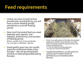  Unless you have enough land to
provide year-round grazing, you will
have a winter feeding period;
sometimes a summer feeding
period.
 How much harvested feed you need
depends upon species, size
(weight), productivity, and duration
of feeding period.
Winter: usually ¼ to ½ ton per female
e.g. 120 days x 4 lbs/head = 480 lbs.
 Good quality grass hay can usually
meet the nutritional needs of dry
females – but not growing lambs
and kids or (late) pregnant/lactating
females.
 Grain is usually given to females during late
pregnancy and/or early lactation to meet
their increased nutrient requirements and
improve productivity.
½ -1 lb. per head during late gestation
1 to 3 lbs. per head during lactation
 Supplemental feed is usually given to
young stock if higher levels of
performance are needed and/or
desired.
 