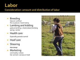  Breeding
Natural < artificial
Pen or pasture < hand mating
 Lambing and kidding
pasture lambing < shed (indoor) lambing
spring < winter
 Health care
Especially parasite control
 Hoof care
 Shearing
Hair sheep
 Marketing
commodity < direct
live animal < carcass or meat
 