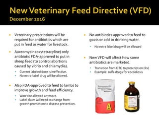  Veterinary prescriptions will be
required for antibiotics which are
put in feed or water for livestock.
 Aureomycin (oxytetracyline) only
antibiotic FDA-approved to put in
sheep feed (to control abortions
caused by vibrio and chlamydia).
 Current labeled dose is ineffective.
 No extra-label drug will be allowed.
 Also FDA-approved to feed to lambs to
improve growth and feed efficiency.
 Won’t be allowed anymore.
 Label claim will need to change from
growth promotion to disease prevention.
 No antibiotics approved to feed to
goats or add to drinking water.
 No extra label drug will be allowed
 NewVFD will affect how some
antibiotics are marketed.
 Transition fromOTC to prescription (Rx)
 Example: sulfa drugs for coccidiosis
 