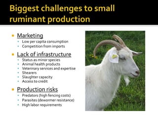  Marketing
 Low per capita consumption
 Competition from imports
 Lack of infrastructure
 Status as minor species
 Animal health products
 Veterinary services and expertise
 Shearers
 Slaughter capacity
 Access to credit
 Production risks
 Predators (high fencing costs)
 Parasites (dewormer resistance)
 High labor requirements
 