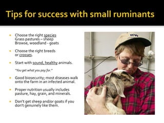  Choose the right species
Grass pastures – sheep
Browse, woodland - goats
 Choose the right breeds
or crosses.
 Start with sound, healthy animals.
“You get what you pay for.”
 Good biosecurity; most diseases walk
onto the farm in an infected animal.
 Proper nutrition usually includes
pasture, hay, grain, and minerals.
 Don’t get sheep and/or goats if you
don’t genuinely like them.
 