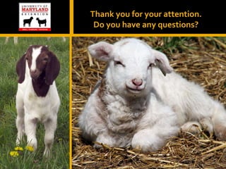 Thank you for your attention.
Do you have any questions?
 